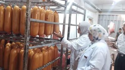 ضبط دواجن ولحوم مجمدة ومصنعات لحوم مجهولة المصدر في الشرقية 