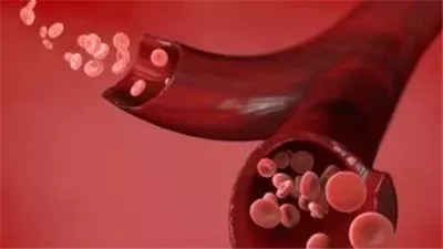 حل لغز عمره 50 عاما.. اكتشاف نظام جديد لفصائل الدم (تفاصيل)