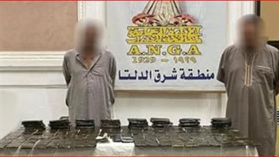 سقوط عنصرين إجراميين بـ 20 كيلو حشيش بالدقهلية