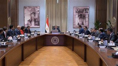 مدبولى يستعرض مشروعا  لإقامة مركز بيانات أخضر من خلال أحد التحالفات