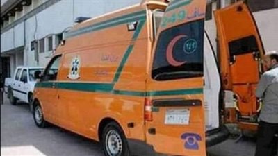 إصابة زوجة بـ 21 طعنة على يد نجل زوجها بالإسماعيلية