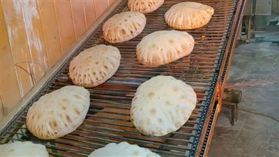  إحالة 226 مخالفة تموينية إلى النيابة العامة بالدقهلية