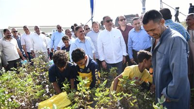 محافظ الفيوم يتفقد أعمال جني القطن بأحد الحقول بقرية رحمي