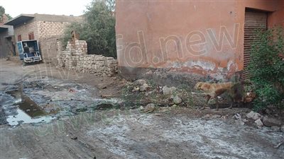 فيديو| مياه تهدد منازل عزبة الأمير بالانهيار.. والسكان يستغيثون بمحافظ الأقصر