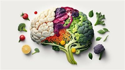 أكلات لتعزيز التركيز والذاكرة| خيارات غذائية لتحسين الأداء العقلي