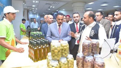 قيمة غذائية واقتصادية عالية.. زيتون مطروح الصحراوي بمساحة 58 ألف فدان