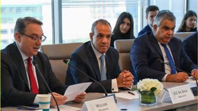 وزير الخارجية يشارك في مائدة مستديرة مع 