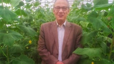 الصوب الزراعية الحديثة طوق نجاة للخضراوات والفاكهة 