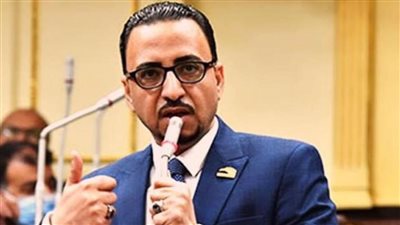 برلماني: استمرار التغاضي الدولي عن جرائم إسرائيل يكشف ازدواجية المعايير