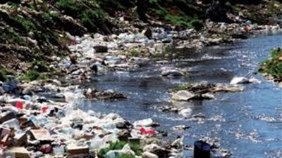 للكشف عن التلوث.. علماء يبتكرون بكتيريا تتوهج في المياه 