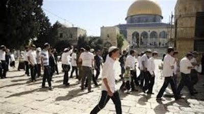 مستعمرون يقتحمون المسجد الأقصى بحماية الاحتلال 