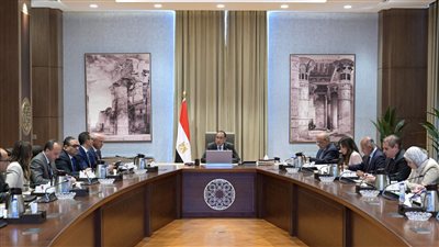 مدبولى يبحث آلية تعديل حدود الكربون لتعزيز تنافسية الصادرات المصرية