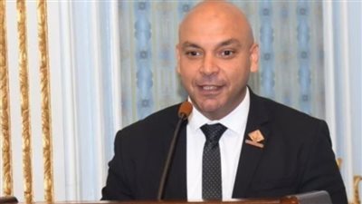 الشيوخ: مشاركة منتدى شباب العالم بقمة المستقبل تعبير عن رأي الوطن العربي