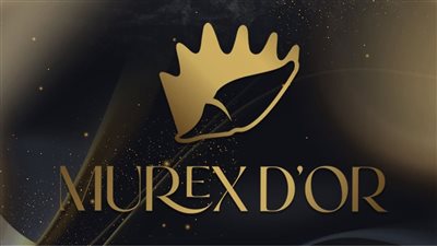 الاختلال الأمني في لبنان يطال الدورة الرابعة من مهرجان 