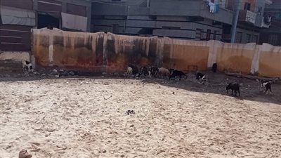 أرواح تلاميذ مدرسة إبراهيم شكري ببسنديلة في خطر