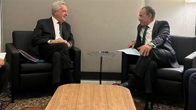 وزير الخارجية: مصر تحتل المرتبة الثالثة عالميًا في استقبال طلبات اللجوء 