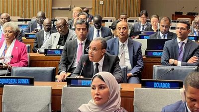 وزير الخارجية يلقي كلمة مصر خلال اجتماع وزراء خارجية دول عدم الانحياز 