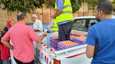 قطاع الثروة الحيوانية يطلق منافذ متحركة لبيع بيض المائدة بأسعار مخفضة