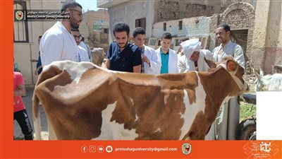 علاج 950 حيوان بقرية ونينة الغربية بقافلة جامعة سوهاج البيطرية المجانية