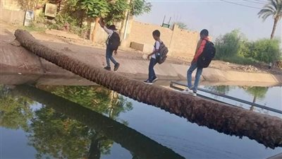 إزالة جذع نخله وضعه الأهالى على ترعة كان يعبر عليه التلاميذ بقنا 