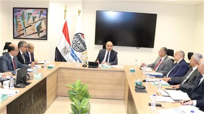 وزير قطاع الأعمال: جذب وتشجيع الاستثمار المحلي والأجنبي في الشركات التابعة 