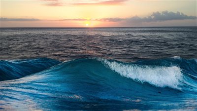 اكتشاف مصدر صوت المحيط العميق بعد حيرة سنوات