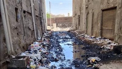 أقدم حي في الإسماعيلية يحاصره القمامة والصرف الصحي 