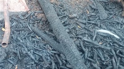 نفوق 7 رؤوس ماشية في حريق هائل بحظيرة مواشي في أشمون 