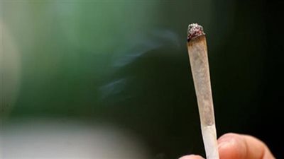 إحباط ترويج 7.6 كيلو حشيش في أسوان