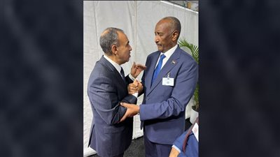 وزير الخارجية: مصر تواصل جهودها لدعم الأشقاء السودانيين في الخروج من أزمتهم