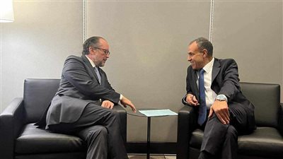 وزير الخارجية يطالب الدول الأوروبية بدعم مصر في مكافحة الهجرة غير الشرعية