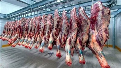 أسعار اللحوم البلدي في الأسواق اليوم 