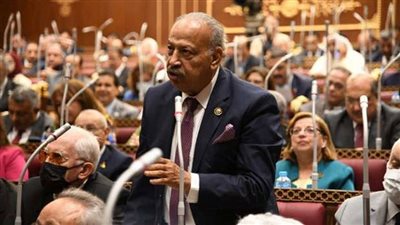 النائب هاني العسال: العلاقات المصرية السعودية تدخل عهد جديد بعد زيارة بن سلمان الأخيرة