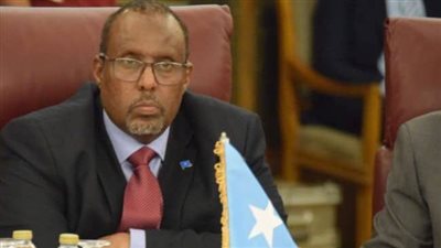سفير الصومال: إرسال القافلة الطبية المصرية لمقديشيو يعكس الدور المصري لدعم البلاد
