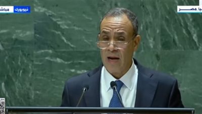 وزير الخارجية: التصعيد الإسرائيلي لا يعرف حدودًا 