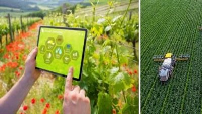 الابتكار الزراعي.. مفتاح الأمن الغذائي والاستدامة في العالم العربي