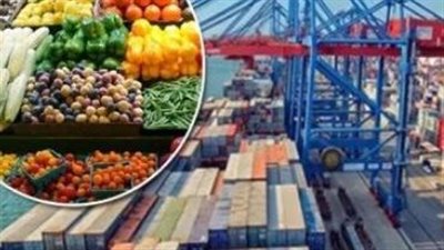 ثورة خضراء مصرية.. صادرات زراعية متنامية تغزو الأسواق العالمية