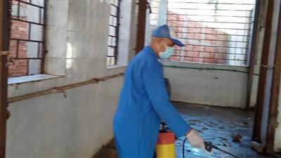 صحة الدقهلية: تكثيف جهود مكافحة الذباب والبعوض وناقلات الأمراض 