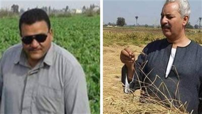 مُزارع شرقاوي ينتقد تصريحات نقيب الفلاحين الخاصة بـ