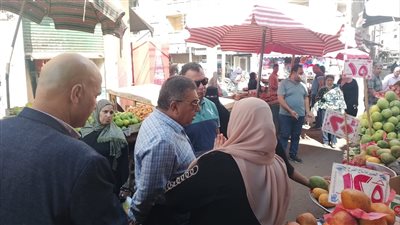 جولة تفقدية لمحافظ الدقهلية بمدينتى طلخا والمنصورة