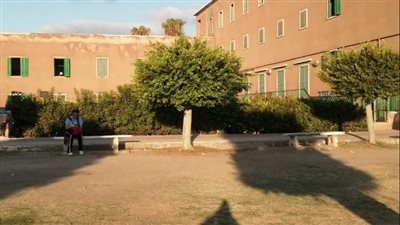 مصرع طالبة سقطت من دار المغتربات بالإسكندرية 