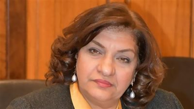 النائبة إيفلين متى: الدعم العيني يضمن وصوله لمستحقيه بشرط وجود لينك لتسجيل بيانات المواطنين بمعايير معينة