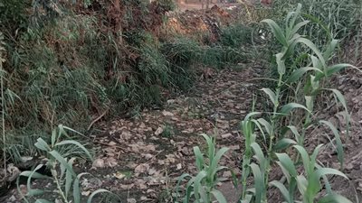  القمامة والإهمال يحاصران 