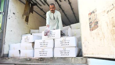 قنا تتسلم دفعة جديدة من لحوم صكوك الأضاحي