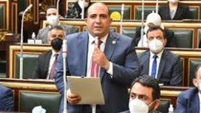 وكيل إفريقية النواب: العالم منبهر بنجاحات المصريين ودعمهم لسياسات السيسي داخليًا وخارجيًا