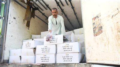 وصول دفعة جديدة من صكوك الأضاحي لتوزيعها على 4 مراكز بقنا 