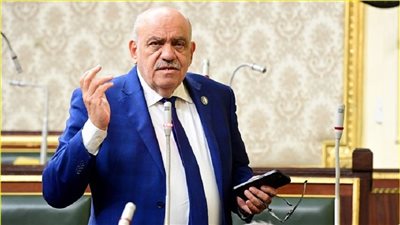 النائب سيد حنفى:  تيسير إجراءات المنازعات الضريبية تشجيع حقيقى للاستثمار