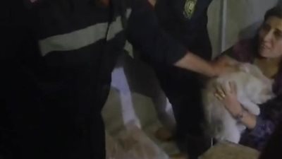  الحماية المدنية تنقذ قطة عالقة ببرج سكني بالفيوم