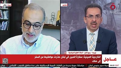 خبير سياسي: المجتمع الدولي يرغب في تطبيق قرار مجلس الأمن 1701