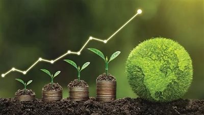 مصر تستثمر في المستقبل.. مشاريع زراعية وبيئية متكاملة